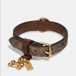 Coach small dog collar